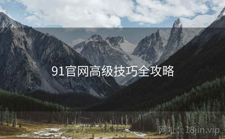 91官网高级技巧全攻略