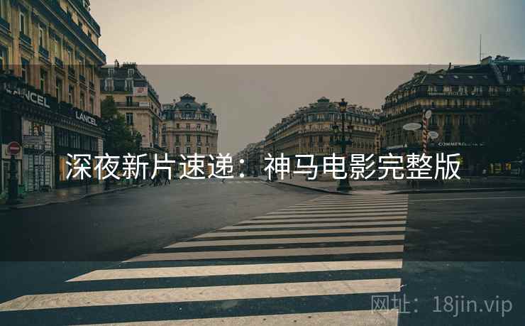 深夜新片速递：神马电影完整版