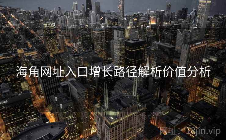 海角网址入口增长路径解析价值分析