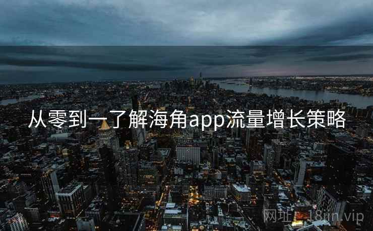 从零到一了解海角app流量增长策略