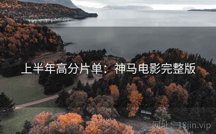 上半年高分片单：神马电影完整版