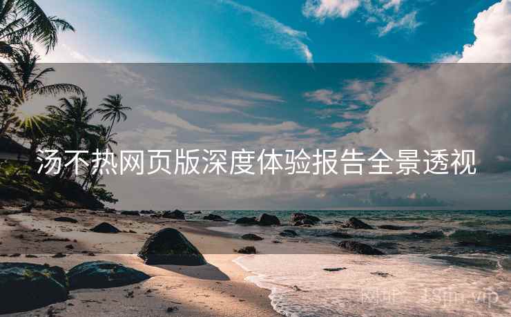 汤不热网页版深度体验报告全景透视