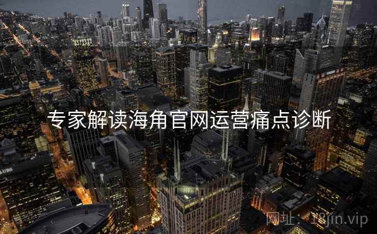 专家解读海角官网运营痛点诊断